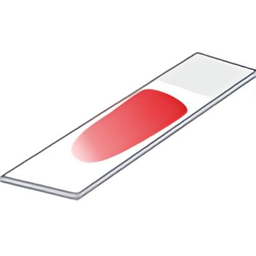 Automated Hematology